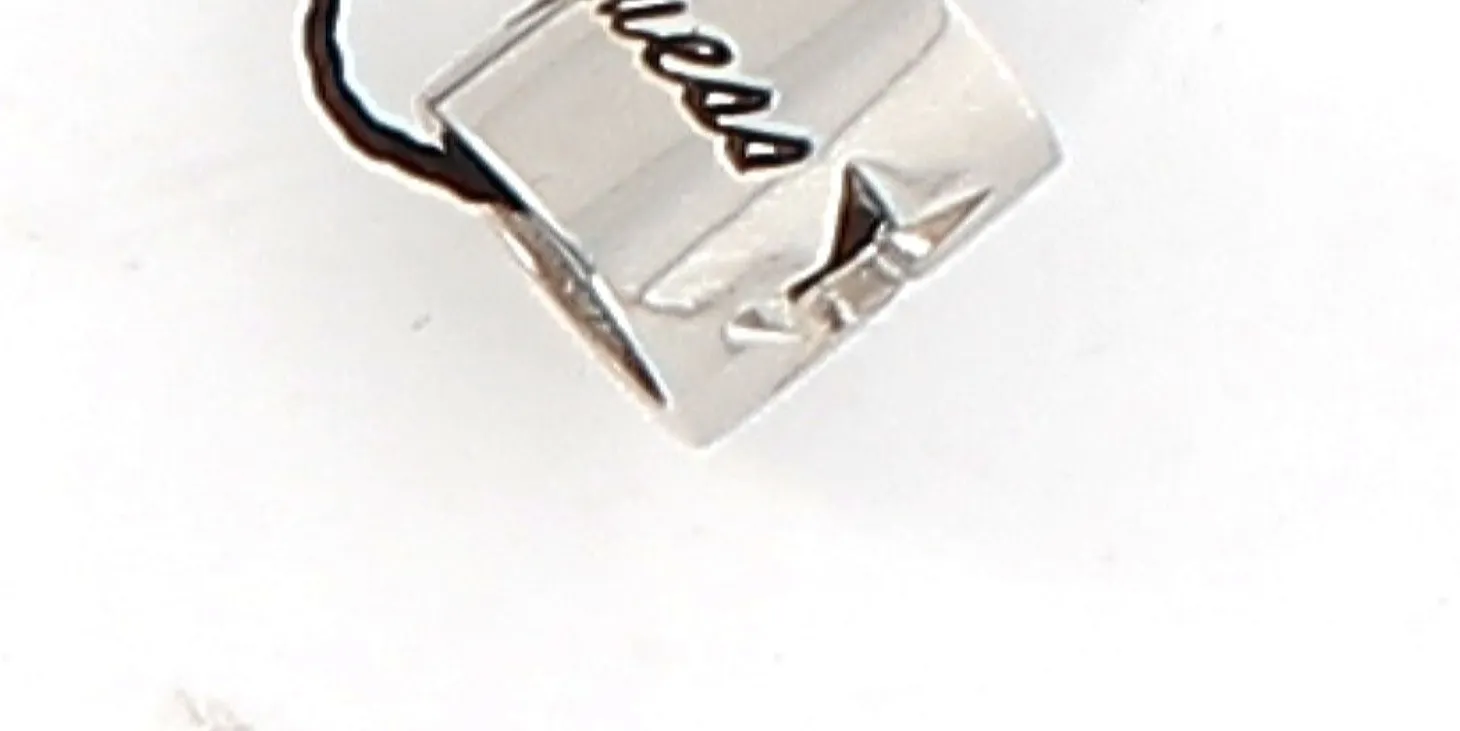 Portachiavi Guess Donna ANELLOSTELLAARGENTO